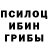 Галлюциногенные грибы Psilocybine cubensis Knifeeeek