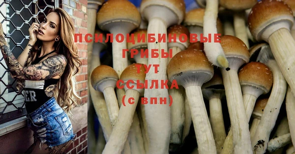 винт Каменногорск